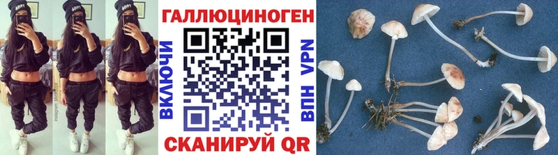 маркетплейс телеграм  Сысерть  Галлюциногенные грибы прущие грибы 